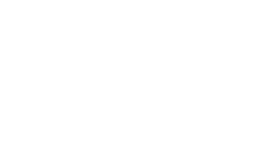 MEGANE MIST