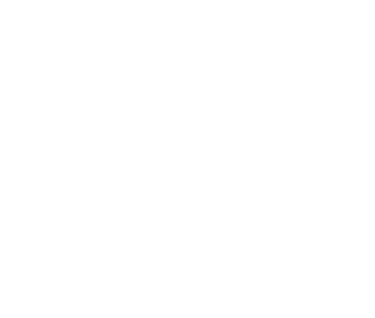 MEGANE MIST